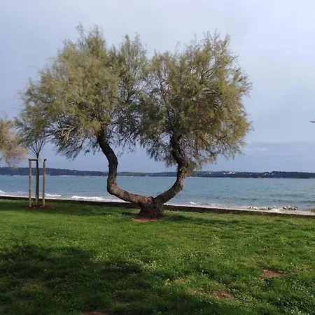 Belvedere * Novigrad Istria